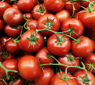 Bio Tomatendünger flüssig 1 ltr image