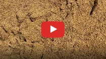 Sand Gewaschen 0-2 mm